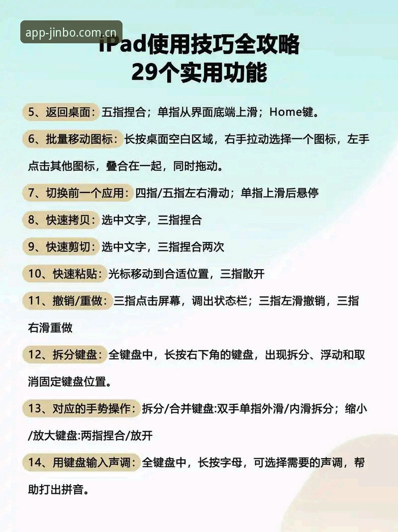 jinbo移动端功能详解：从入门到精通实用指南